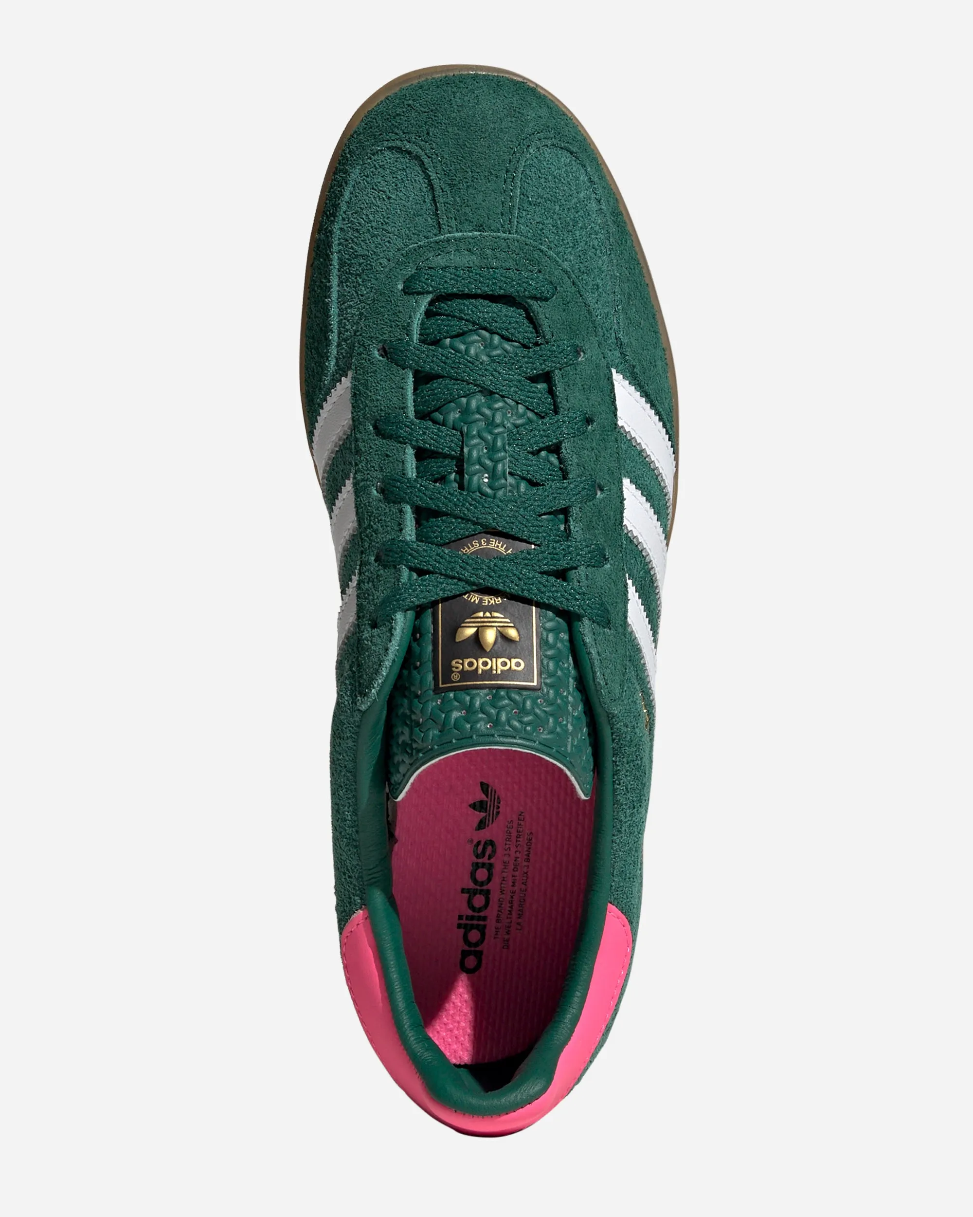 Gazelle Indoor