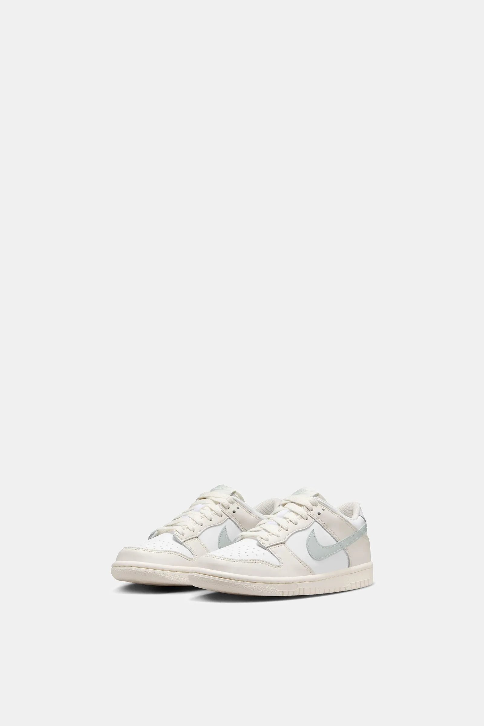 Nike Dunk Low (GS)